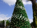 20-P1040230