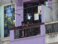21-P1030764