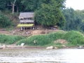 48-P1020874