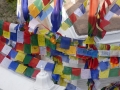 010-P1000104