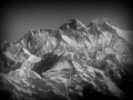 021-P1000184