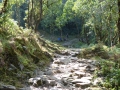 048-P1000363