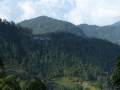052-P1000371