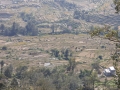 075-P1000458
