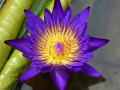 032-P1010254