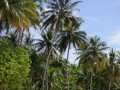 051-P1010428