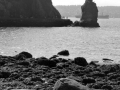 14-P1060841.JPG